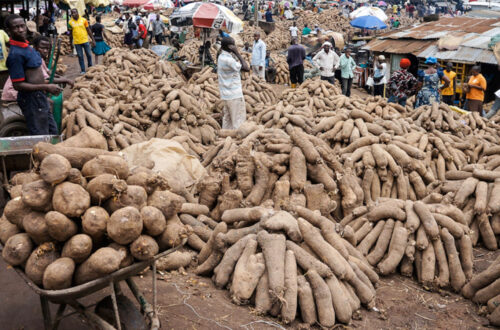 Your Naija Market, Wherever You Are whatsapp image 2025 09 26 at 09.12.22 ae6c6a9f