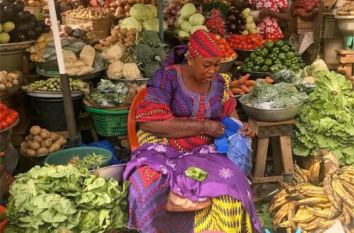 Bringing the Nigerian Market Closer to You: Welcome to Gabazzi whatsapp image 2025 09 26 at 09.12.23 648fa869